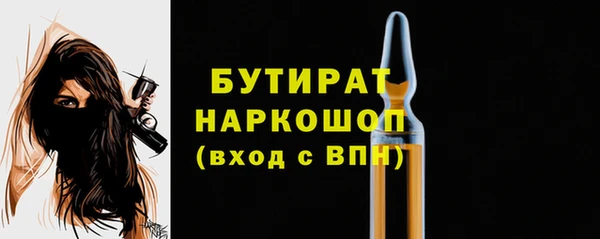 сатива Бородино